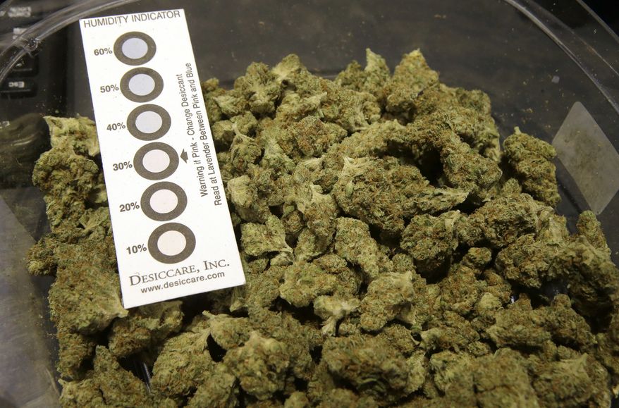 In this Wednesday, Oct. 17, 2018 photo a humidity indicator rests in a bowl of a strain of cannabis called &quot;Walker Kush&quot; at New England Treatment Access medical cannabis dispensary, in Northampton, Mass. The Walker Kush strain of cannabis is intended for legal recreational consumption once cannabis products can be sold legally in the state. Within days perhaps, the medical marijuana dispensary in Northampton expects to receive the final go-ahead to throw its doors open to anyone 21 or older who wants to purchase cannabis products ranging from flower to edibles, creams and even suppositories. (AP Photo/Steven Senne)