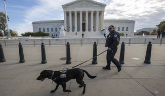Police do a security sweep at the Supreme Court before the arrival of President Donald Trump to attend a ceremony for new Associate Justice Brett Kavanaugh, in Washington, Thursday, Nov. 8, 2018. (AP Photo/J. Scott Applewhite)