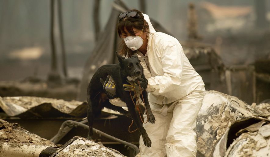 A search and rescue worker, looking for Camp Fire victims, carries Susie Q. to safety after the cadaver dog fell through rubble at the Holly Hills Mobile Estates on Wednesday, Nov. 14, 2018, in Paradise, Calif. (AP Photo/Noah Berger)
