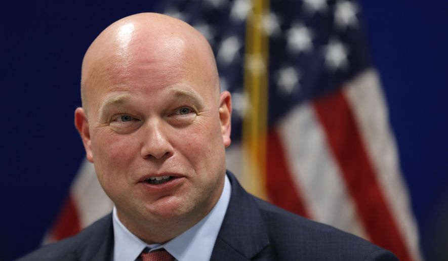 Foundation for Accountability and Civic Trust paid Matt Whitaker ...