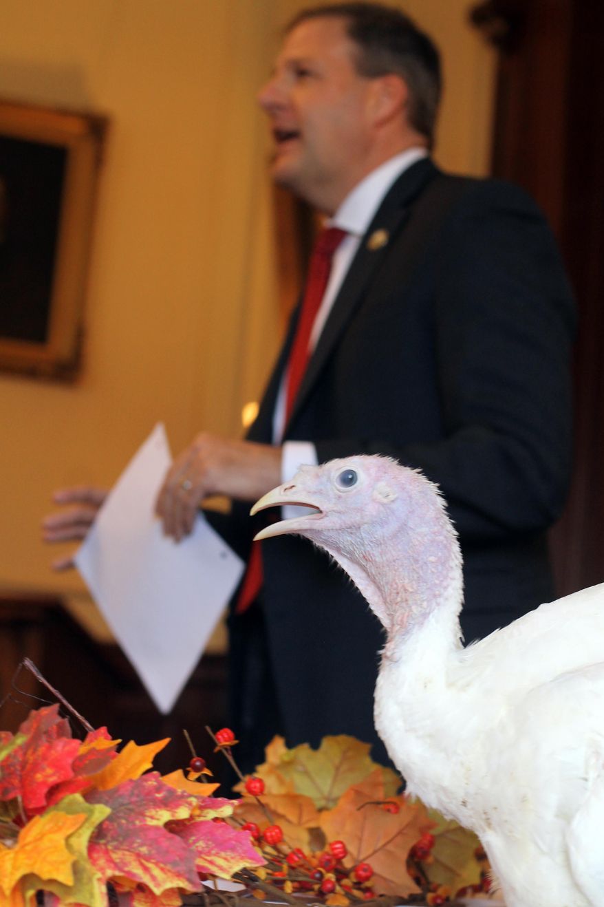 A five-month-old turkey named Brook reacts to Gov. Chris Sununu as he explains his request for a pardon to the Executive Council, Wednesday, Nov. 14, 2018, in Concord, N.H. The turkey, accused of “theft by unauthorized taking,” was spared by the council in time for Thanksgiving, and will be raised by students at the Crotched Mountain School. (AP Photo/Holly Ramer)
