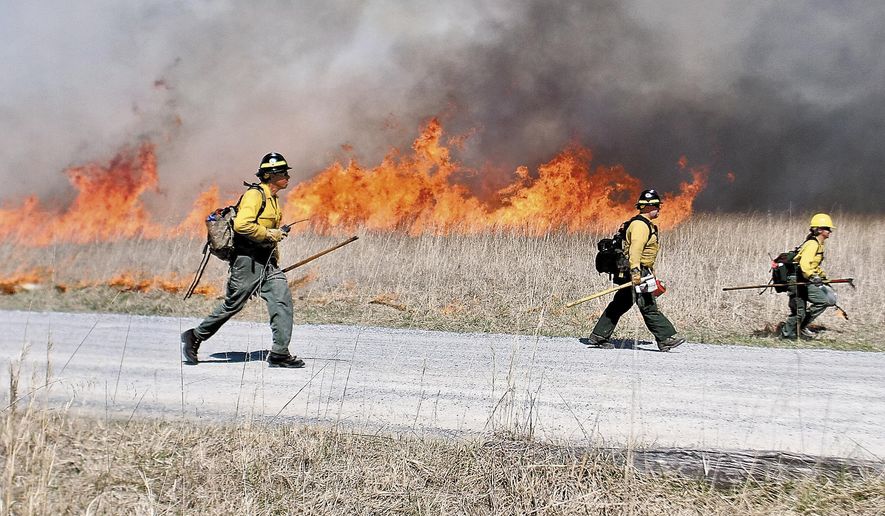 FILE - In this March 8, 2018 file photo, National Park firefighters start to run to keep ahead of a controlled burn near the Abrahms Fall trail head in Cades Cove in the Great Smoky Mountains National Park, Tenn. Creating fire buffers between housing and dry grasslands and brush and burying spark-prone power lines underground would give people a better chance of surviving wildfires, experts say. So would controlled burns, a proven, historic practice that has been neglected in recent decades. (Tom Sherlin/The Daily Times via AP, File)