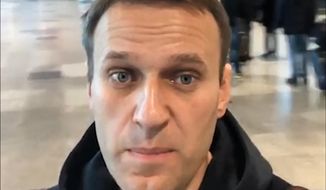 In this selfie photo released by Anti-corruption Foundation Press Service, Russian anti-corruption crusader Alexei Navalny at Domodedovo international airport outside Moscow, Russia, Tuesday, Nov. 13, 2018. Navalny was stopped at the border Tuesday and barred from leaving Russia as he was about to travel to a court hearing at the European Court for Human Rights in France. (Alexei Navalny/Anti-corruption Foundation press service via AP)