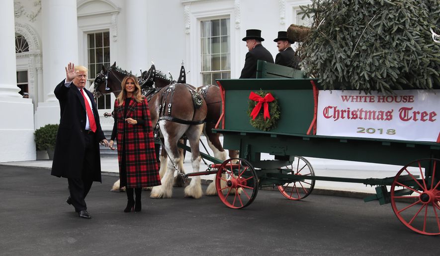President Donald Trump and first lady Melania Trump receive the White House Christmas Tree, at the North Portico of the White House, in Washington, Monday, Nov. 19, 2018. The North Carolina-grown 19 1/2-foot-tall Fraser Fir will be displayed in the Blue Room of the White House. (AP Photo/Manuel Balce Ceneta)