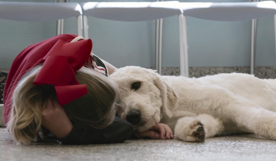 This image released by Netflix shows a scene from the documentary "Dogs," streaming Friday, on Netflix. (Netflix via AP)