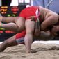 In this Nov. 16, 2016, photo, ssireum wrestlers compete during the Korea Open Ssireum Festival in Seoul, South Korea. South Korean culture officials on Monday, Nov. 26, 2018, said a UNESCO committee is set to determine whether to add the Korean wrestling to its list of &amp;quot;Intangible Cultural Heritage of Humanity&amp;quot; this week. (Jang Se-young/Newsis via AP)