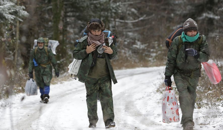 A group of migrants moves through a forest on the Pljesevica Mountain in a attempt to illegally cross the border into Croatia, in Bihac, Bosnia, on Wednesday, Nov. 28, 2018. Braving cold weather and snow, dozens of migrants headed from Bosnia up a steep mountain pass hoping to reach neighbouring European Union member Croatia.(AP Photo/Amel Emric)