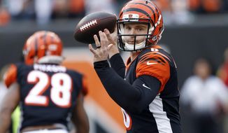 FILE - In this Sunday, Nov. 25, 2018, file photo, Cincinnati Bengals quarterback Jeff Driskel throws a pass in the second half of an NFL football game against the Cleveland Browns in Cincinnati. On Sunday, the Bengals’ backup quarterback will make his first NFL start against the Broncos in a matchup of teams headed in opposite directions. (AP Photo/Gary Landers, File)