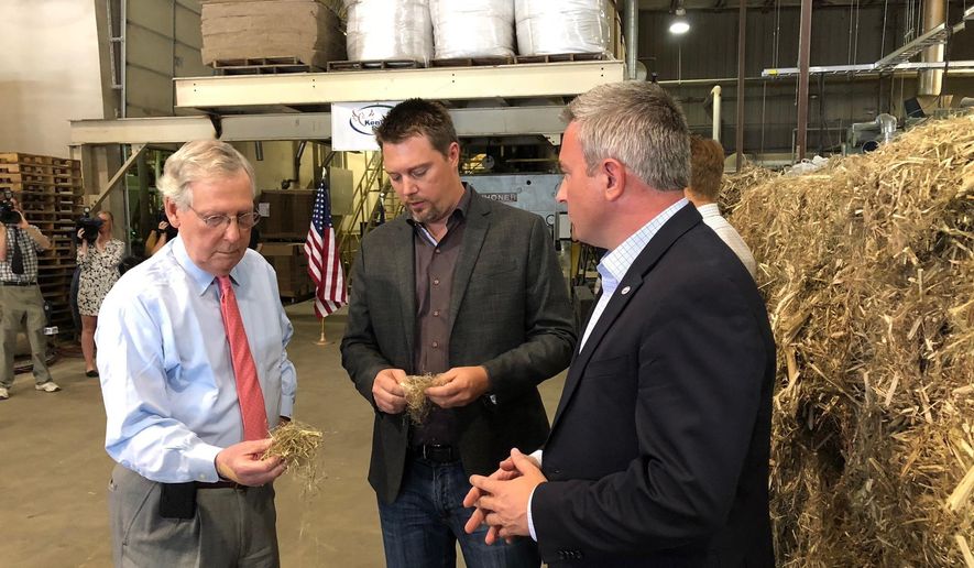 In a Thursday, July 5, 2018 file photo, Senate Majority Leader Mitch McConnell, left, inspects a piece of hemp taken from a bale of hemp at a processing plant in Louisville, Ky. McConnell has guaranteed that his proposal to make hemp a legal agricultural commodity, removing it from the federal list of controlled substances, will be part of the final farm bill. (AP Photo/Bruce Schreiner, File) **FILE**