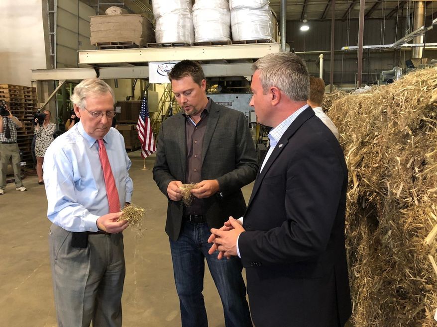 In a Thursday, July 5, 2018 file photo, Senate Majority Leader Mitch McConnell, left, inspects a piece of hemp taken from a bale of hemp at a processing plant in Louisville, Ky. McConnell has guaranteed that his proposal to make hemp a legal agricultural commodity, removing it from the federal list of controlled substances, will be part of the final farm bill. (AP Photo/Bruce Schreiner, File) **FILE**