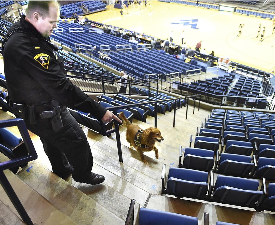 In this recent photo, West Virginia University Police Lt Josh Cook and Ginger, a 7-year-old field golden retriever, sweep the Coliseum before fans enter for a college basketball game in Morgantown, W.Va. Cook said the canines and their handlers sweep before any event at the stadium or coliseum and the unit, the largest explosive K-9 unit in the state, has been asked to help with everything from political rallies to concerts. (Ron Rittenhouse/The Dominion-Post via AP)