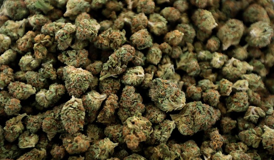 In this April 12, 2018 file photo, nugs of marijuana await packaging at the Hollingsworth Cannabis Company near Shelton, Wash. (AP Photo/Ted S. Warren, File)
