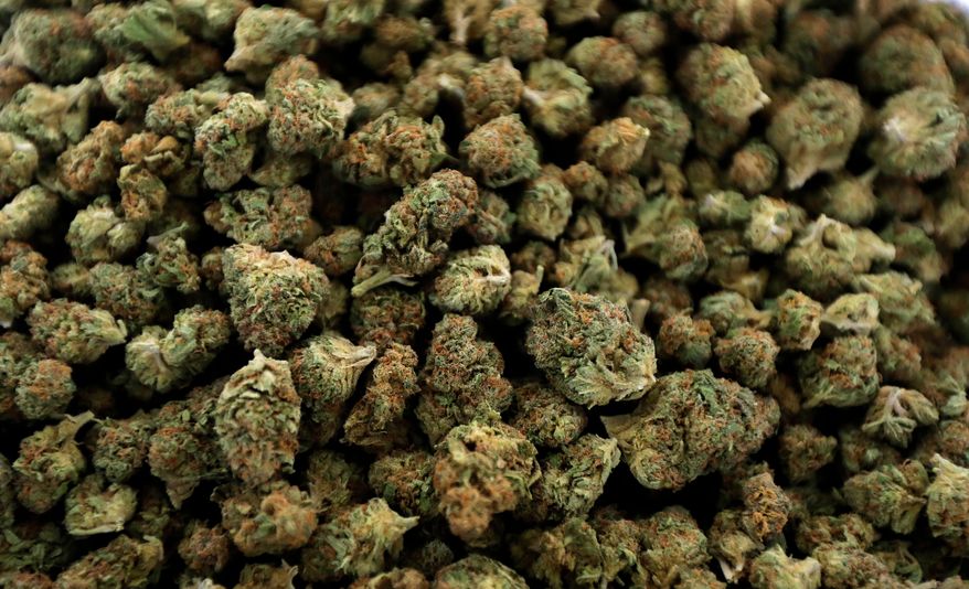 In this April 12, 2018 file photo, nugs of marijuana await packaging at the Hollingsworth Cannabis Company near Shelton, Wash. (AP Photo/Ted S. Warren, File)