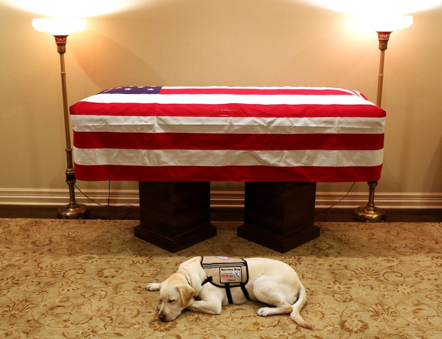 This Sunday, Dec. 2, 2018, file photo shows Sully, President George H.W. Bush&#x27;s service dog, as he lies in front of his master&#x27;s casket in Houston. The 41st president died Friday at his home in Houston at 94. (Evan Sisley/Office George H.W. Bush via AP)