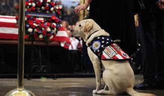 Sully, former President George H.W. Bush&#39;s service dog, pays his respect to President Bush as he lie in state at the U.S. Capitol in Washington, Tuesday, Dec. 4, 2018. (AP Photo/Manuel Balce Ceneta)