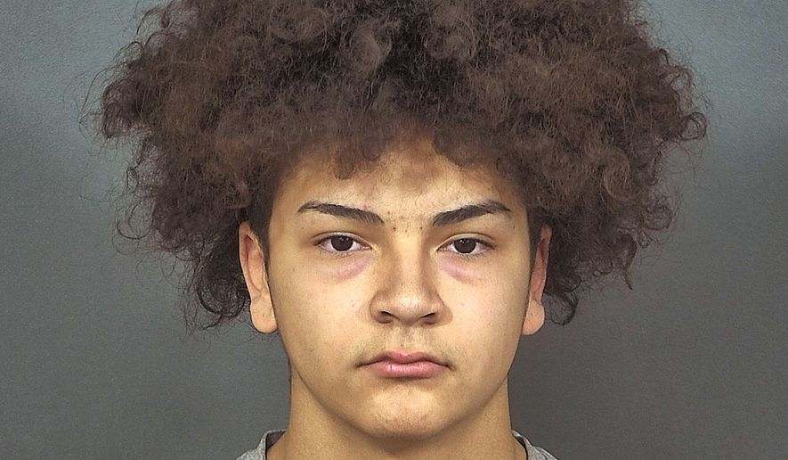 This undated photo provided by the St. Joseph County Jail in South Bend, Ind., shows Aaron Trejo. Trejo, an Indiana high school football player told investigators that he killed a 17-year-old schoolmate because he was angry that she waited so long to tell him she was pregnant with his child, that it was too late to get an abortion, authorities said Monday, Dec. 10, 2018. Trejo, 16, was charged as an adult with murder in the Sunday killing of Breana Rouhselang and the fetus. He was arrested Sunday, and scheduled to be arraigned Tuesday. (St. Joseph County Jail via AP)