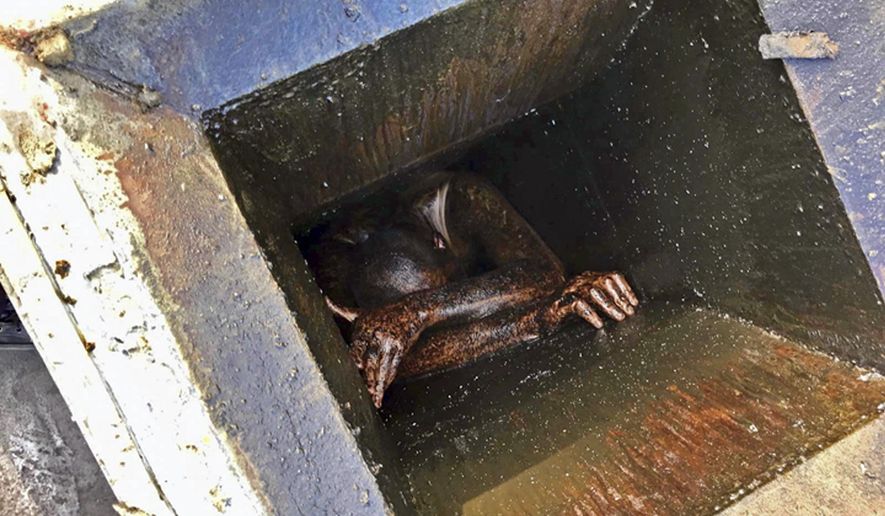 This photo provided by the Alameda County Sheriff's Office shows a man who was possibly trying to burglarize an abandoned Chinese restaurant in San Lorenzo, Calif., trapped in a grease vent before he was rescued Wednesday, Dec. 12, 2018. Officials say he had been trapped for two days. Deputies and firefighters were called to the vacant building on Wednesday after someone heard cries for help. The sheriff tweeted that the man was trespassing and possibly trying to burglarize the empty restaurant. (Alameda County Sheriff's Office via AP)