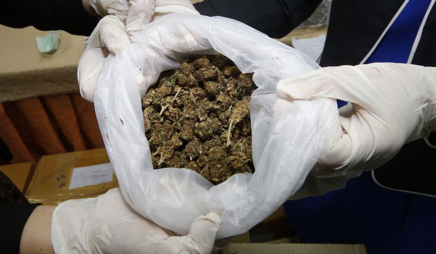 Thai officers show some marijuana before a news conference Bangkok, Thailand, Tuesday, Sept. 25, 2018. Thai police handed over around 100 kilograms of seized marijuana to be used for medical research Tuesday, as officials seek to produce pot-based medication. (AP Photo/Sakchai Lalit)