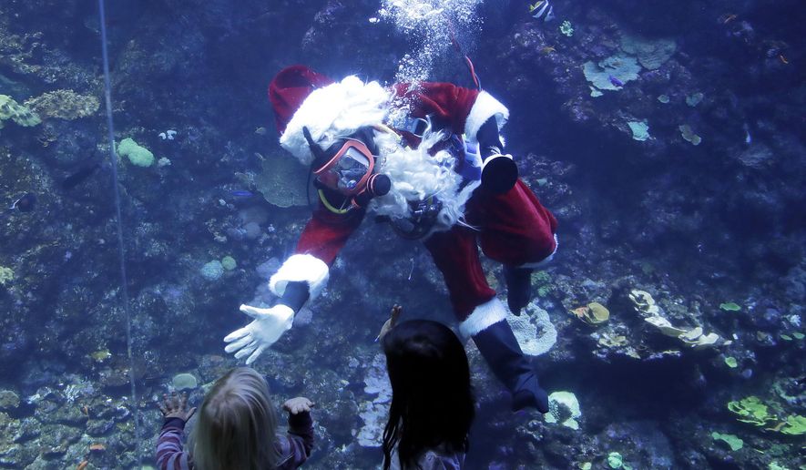 Volunteer diver George Bell, dressed as Santa Claus, waves to children after speaking inside the Philippine Coral Reef tank at The California Academy of Sciences in San Francisco, Thursday, Dec. 13, 2018. The California Academy of Sciences launched its holiday festivities Thursday by having a diver dressed as Santa Claus submerge into a coral reef exhibit while dozens of children watched from behind the glass. (AP Photo/Jeff Chiu)
