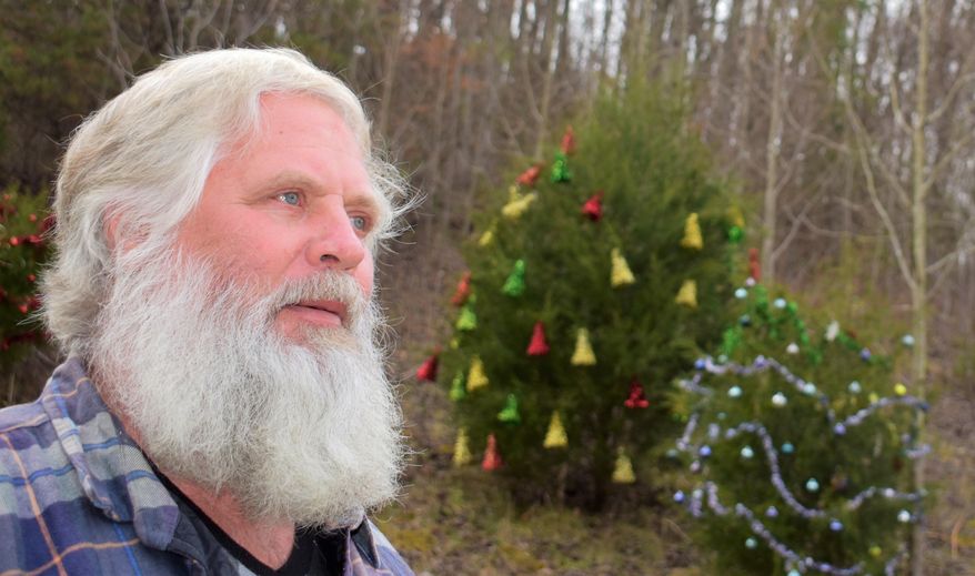 In this Nov. 29 2018 photo, Larry Williams decorates about 10 trees on the north end of Bradley Creek road near the Carters Valley road intersection in Kingsport, Tenn. Earlier this year Williams was diagnosed with Parkinson's Disease. He's experiencing some of the symptoms such as shaking hands, but that hasn't discouraged him from making this year's roadside Christmas Tree display his best ever. (Jeff Bobo/The Kingsport Times-News via AP)
