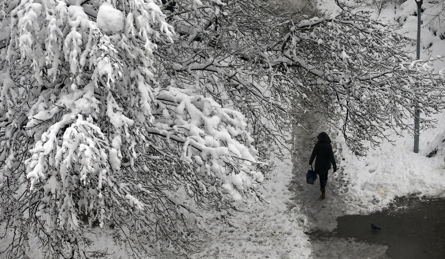 A woman walks through a snow covered park in Belgrade, Serbia, Monday, Dec. 17, 2018. Serbia and neighboring countries have been blanketed with snow in the past few days, which has slowed down traffic, disrupted power supplies and blocked access to some remote villages. (AP Photo/Darko Vojinovic)