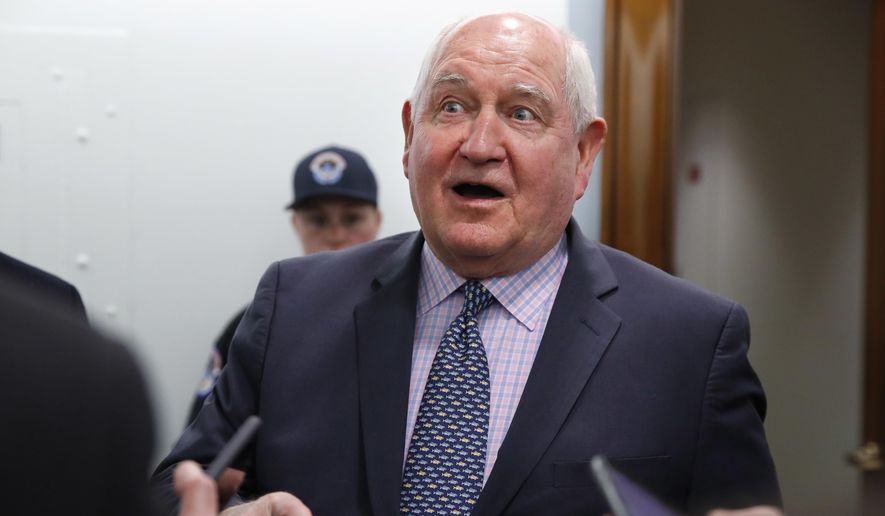 In this April 11, 2018, file photo, Agriculture Secretary Sonny Perdue speaks with reporters on Capitol Hill in Washington. (AP Photo/Jacquelyn Martin, File)