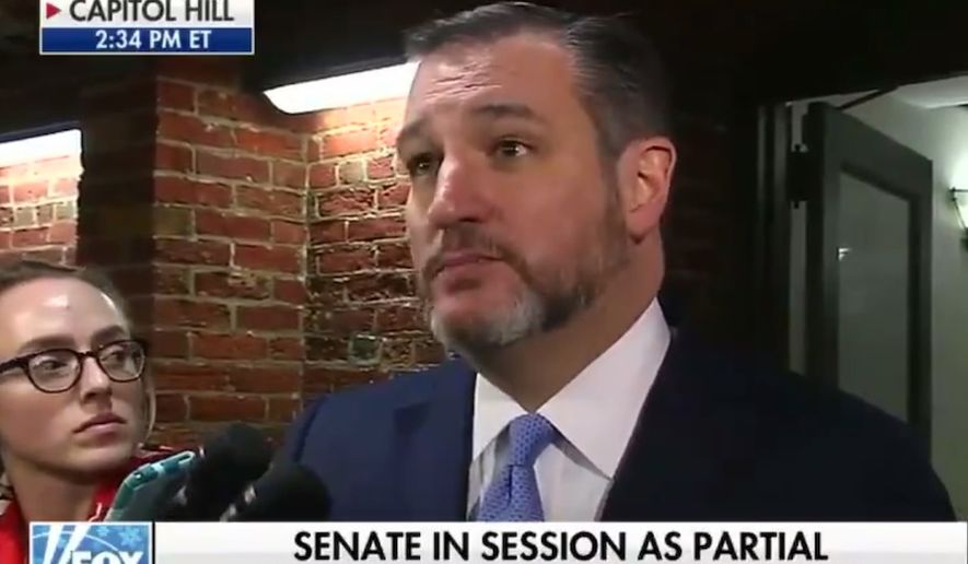 Texas Sen. Ted Cruz talks about a possible government shutdown with reporters, Dec. 21, 2018. (Image: Fox News screenshot)