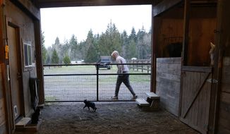 In this Monday, Dec. 10, 2018, photo, Robel, an 18-year-old tech addict from California, leaves a barn after helping feed animals at the Rise Up Ranch outside rural Carnation, Wash. The ranch is a starting point for clients like Robel who come to reSTART Life, a residential program for adolescents and adults who have serious issues with excessive tech use, including video games. The organization, which began about a decade ago, also is adding outpatient services due to high demand. (AP Photo/Martha Irvine)