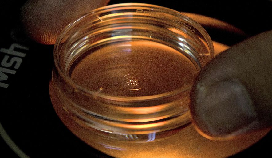 In this Oct. 9, 2018 photo, an embryologist adjusts a microplate containing embryos that were injected with gene-editing components in a laboratory in Shenzhen in southern China's Guangdong province. Most Americans say it would be OK to change the DNA of babies before they're born to protect them from a variety of diseases _ but a December 2018 poll shows they'd draw the line at gene editing to create children who are smarter, faster or taller. (AP Photo/Mark Schiefelbein)