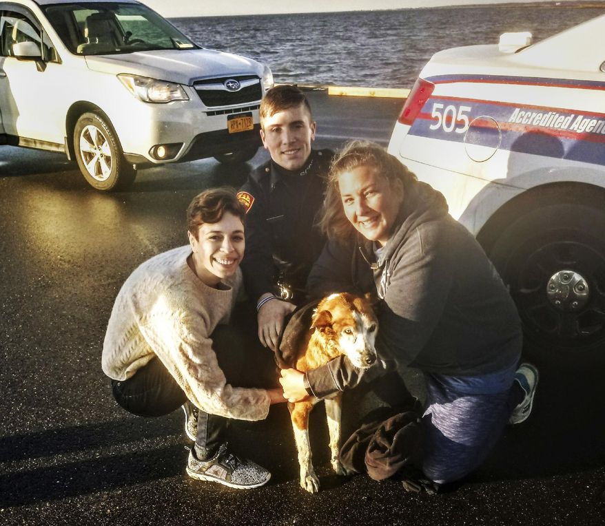 In this photo provided by the Suffolk County Police Department, rescuers pose with a hound mix named Wilbur after the dog was pulled from the chilly waters of the Great South Bay in West Sayville, N.Y., Saturday, Dec. 29, 2018. Wilbur was taken to an animal hospital where he was reunited with his owner and is expected to make a full recovery. From left are Ary McCarthy, Suffolk County Police Officer Ryan McAdam, and Beth Higbie. (Suffolk County Police Department via AP)
