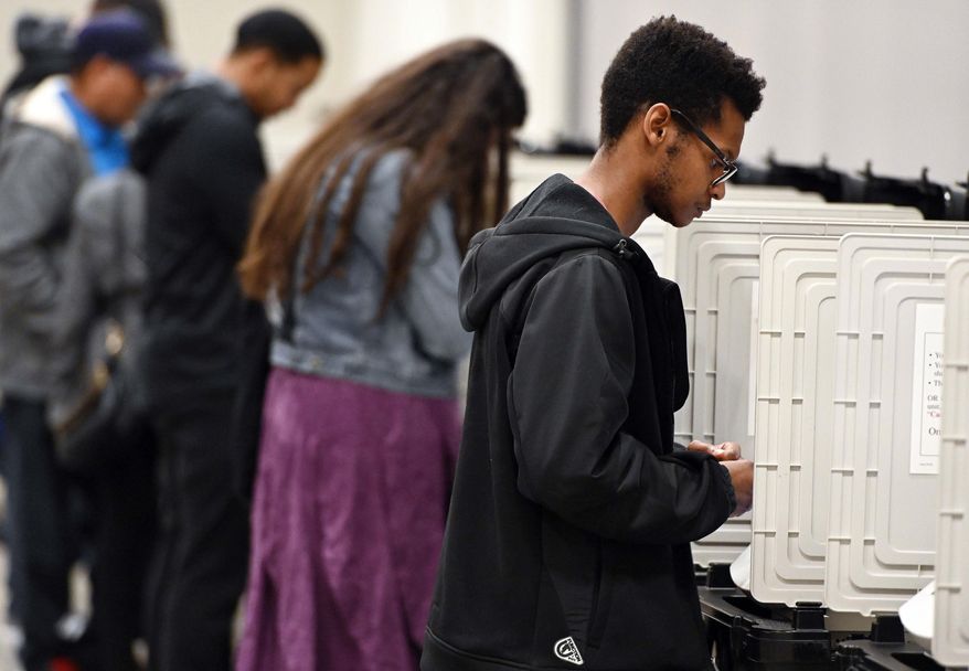 In this Oct. 27, 2018 file photo, people cast their ballots ahead of the Nov. 6, general election at Jim Miller Park in Marietta, Ga. (AP Photo/Mike Stewart, File) **FILE**