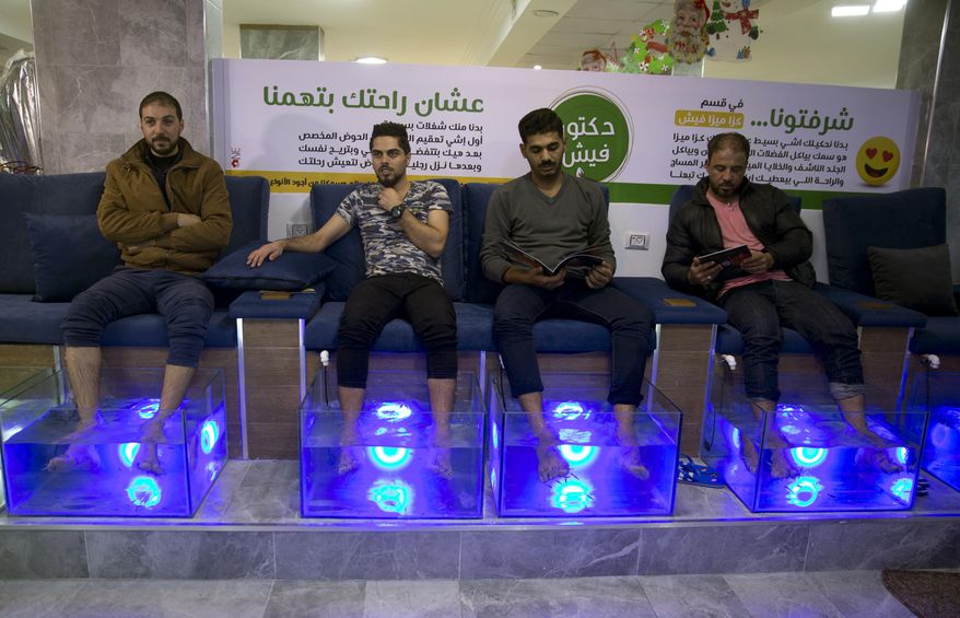 In this Wednesday, Dec. 26, 2018 photo, Palestinians soak their feet in tank stocked with fish at a cafe in Gaza City. The Gaza cafe operator said his business is booming after launching the fish pedicure service in the beleaguered Gaza Strip. A 30-minute session costs about $8 -- a hefty sum in the impoverished coastal enclave. But dozens of people are willing to pay the price for a temporary escape from the difficult living conditions in Gaza. (AP Photo/Khalil Hamra)