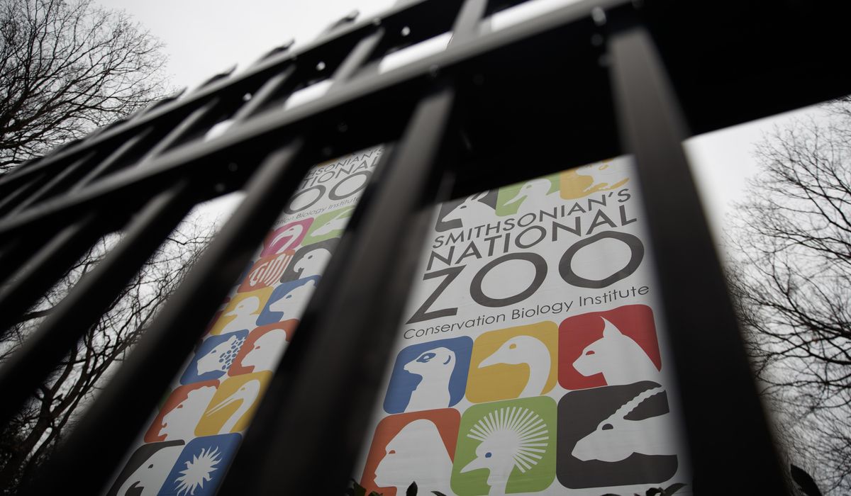 NextImg:National Zoo evacuated after bomb threat