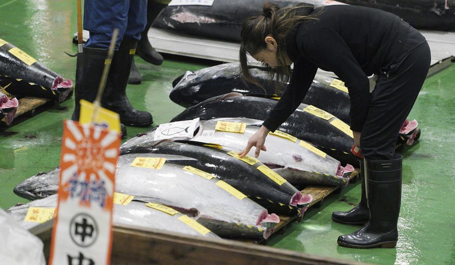 A prospective buyer inspects the quality of a fresh tuna before the first auction of the year at the newly opened Toyosu Market, new site of Tokyo's fish market, in Tokyo Saturday, Jan. 5, 2019. Recently opened Zeppelin in Washington D.C. offers Edo-style (fast food) sushi, yakitori and other Japanese dishes hand-selected by chef/partner Minoru Ogawa from the Toyosu Market in Tokyo and imported directly to the restaurant. (AP Photo/Eugene Hoshiko) **FILE**