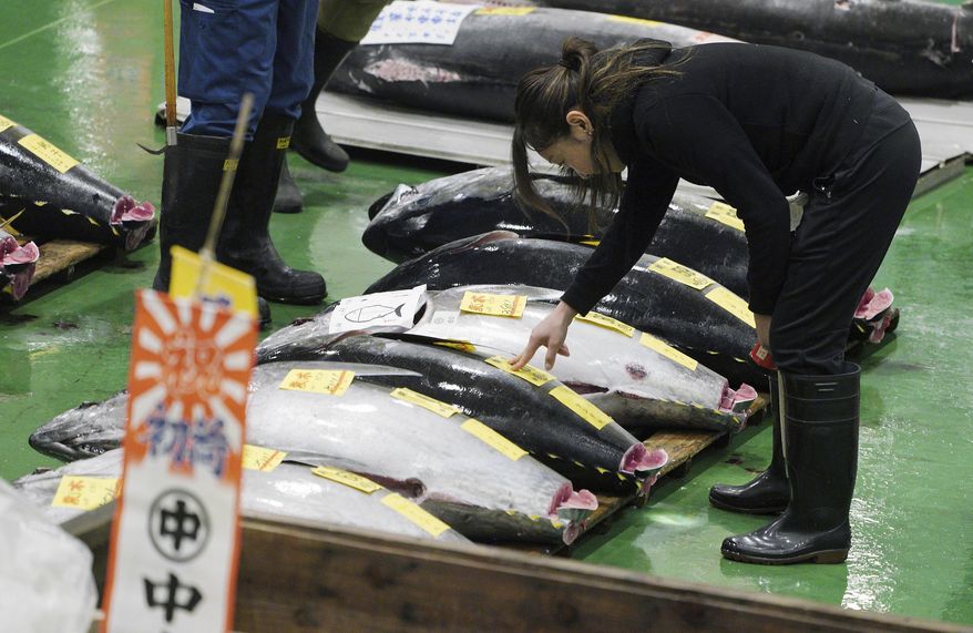 A prospective buyer inspects the quality of a fresh tuna before the first auction of the year at the newly opened Toyosu Market, new site of Tokyo's fish market, in Tokyo Saturday, Jan. 5, 2019. Recently opened Zeppelin in Washington D.C. offers Edo-style (fast food) sushi, yakitori and other Japanese dishes hand-selected by chef/partner Minoru Ogawa from the Toyosu Market in Tokyo and imported directly to the restaurant. (AP Photo/Eugene Hoshiko) **FILE**
