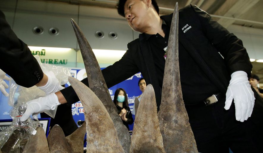 In 2017, Thai customs authorities in Bangkok seized 21 rhinoceros horns smuggled from Ethiopia. Together, they were worth almost $5 million. (Associated Press/File)