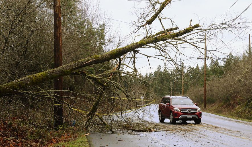 Caution tape marks a nearly downed tree next to Old Pacific Highway near Nisqually, Wash., Sunday, Jan. 6, 2019, as Puget Sound Energy reported more than 200,000 customers were without power throughout its service area about 6 a.m. According to PSE's outage map, areas in South Sound most affected by the storm include east Pierce County, northeast Thurston County and south Thurston County. (Steve Bloom/The Olympian via AP)