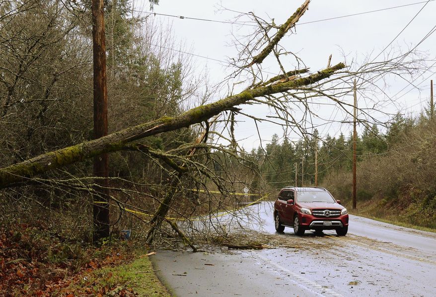 Caution tape marks a nearly downed tree next to Old Pacific Highway near Nisqually, Wash., Sunday, Jan. 6, 2019, as Puget Sound Energy reported more than 200,000 customers were without power throughout its service area about 6 a.m. According to PSE's outage map, areas in South Sound most affected by the storm include east Pierce County, northeast Thurston County and south Thurston County. (Steve Bloom/The Olympian via AP)