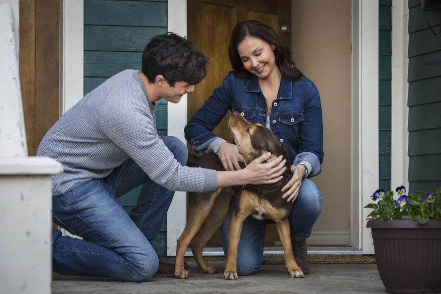 This image released by Sony Pictures shows Jonah Hauer King, left, and Ashley Judd, with dog Shelby, portraying Bella, in a scene from Columbia Pictures' "A Dog's Way Home. (James Dittiger/Columbia Pictures - Sony via AP)