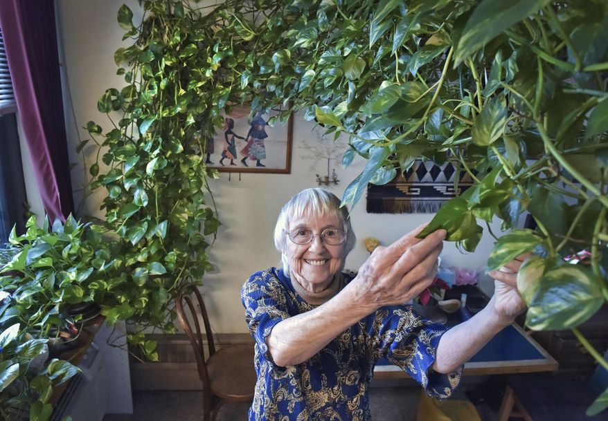 In this Tuesday, Jan. 8, 2018 photo, Gabrellen "Gabby" Pfarr, poses in her Lancaster, Pa. home, along with her beloved houseplant. Pfarr, who's dying of cancer, is trying to find a home for her 15-foot-long plant. (Dan Marschka/LNP/LancasterOnline via AP)