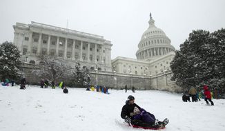 Families sled down a hill on the Senate side of the U.S. Capitol during a snowstorm, as a partial government shutdown stretches into its third week at Capitol Hill in Washington Sunday, Jan. 13, 2019. (AP Photo/Jose Luis Magana)