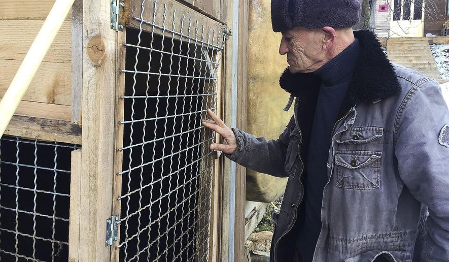 In this Monday, Jan. 7, 2019 photo, former Kosovo Liberation Army fighter Sabahajdin Cena looks at his dog&#39;s kennel, in the town of Rahovec. Two decades after Kosovo’s 1998-99 war of independence, a court in The Hague has summoned a small group of former freedom fighters for questioning about their roles in the bloody campaign. Cena was a top former fighter in Pashtrik area, 80 kilometers (50 miles) west of the capital, Pristina, during the war. (AP Photo/Visar Kryeziu)