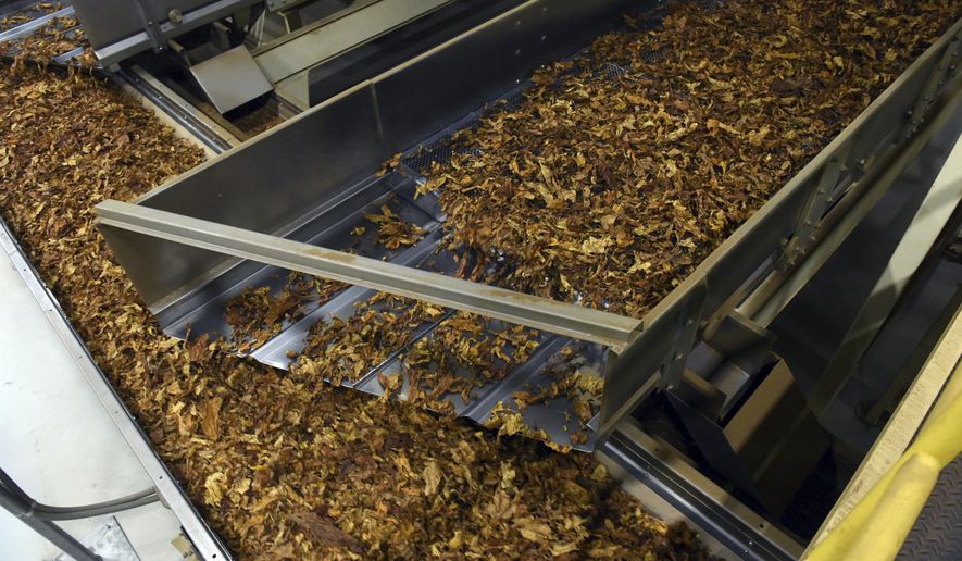 In this Dec. 1, 2016, file photo, processed tobacco heads down the line at a tobacco company in Danville, Va.  (Matt Bell/Danville Register &amp;amp; Bee via AP)