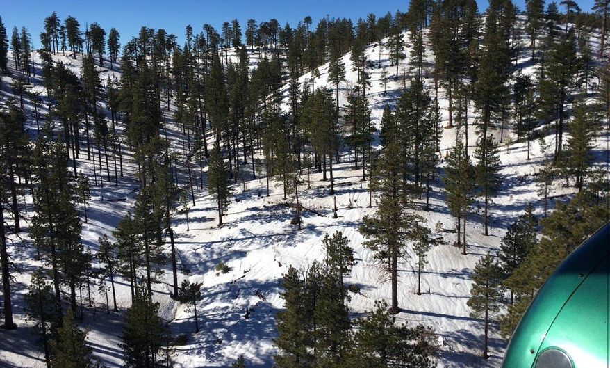 In this Wednesday, Jan. 23, 2019, photo released by the Los Angeles County Sheriff's Department shows an aerial views area where a helicopter rescued two campers off Alamo Mountain, Calif. A couple who went camping and got stranded in the snowy mountains north of Los Angeles for two weeks were rescued by helicopter after running out of food and water, authorities said Thursday. The man and woman in their 30s and two dogs were airlifted from a snow-covered forest near Alamo Mountain on Wednesday by a Los Angeles County Sheriff's Department helicopter. (Los Angeles County Sheriff's Department via AP)