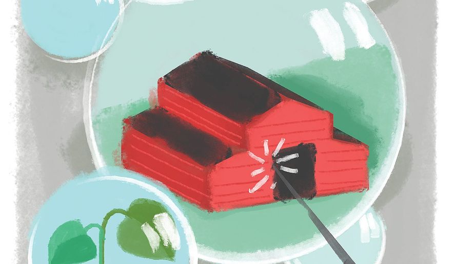 Illustration on detrimental subsidy policy by Linas Garsys/The Washington Times