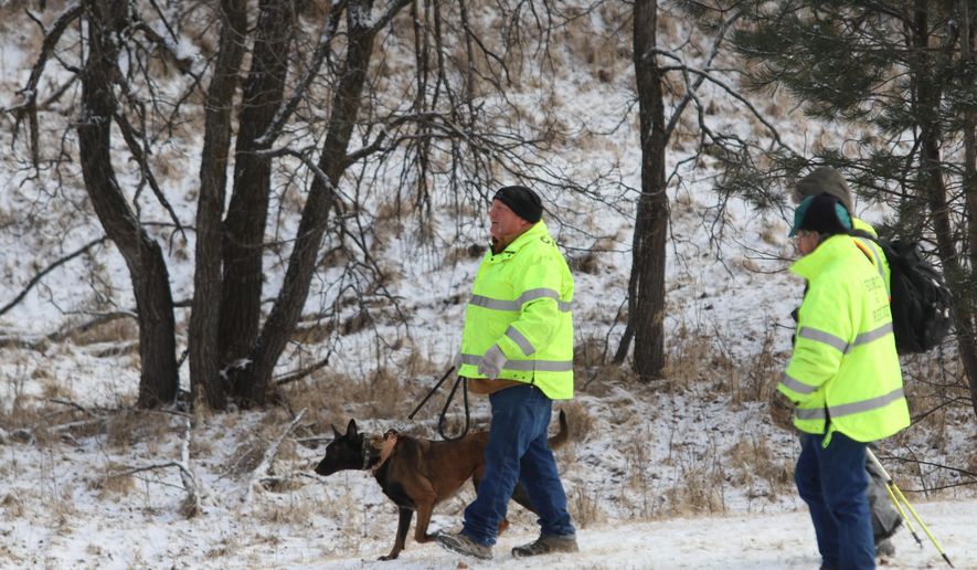 A dog helps search for Serenity Dennard, 9, Monday, Feb. 4, 2019, near Rockerville, S.D. Authorities say that the girl ran away from staff at a residential youth home. (Arielle Zionts/Rapid City Journal via AP)