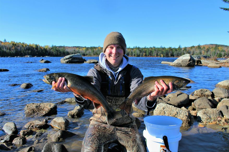 In this Oct. 26, 2018 photo, University of Maine graduate student Brad Erdman holds an Artic charr, left, and a brook trout, right, at Floods Pond near Otis, Maine. Scientists in Maine are in the middle of a project to use DNA to help preserve Arctic charr, which are at the southern end of their range in the state. (Mitch Paisker via AP)