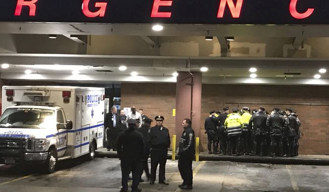 New York City police officers gather at Jamaica Hospital in the Queens borough of New York after a few NYPD officers while responding to a robbery in a mobile phone store on Tuesday, Feb. 12, 2019. One of them was killed Tuesday night while responding to a report of a gunpoint robbery at a cellphone store, an official briefed on the matter told The Associated Press. The official was not authorized to speak publicly and spoke on condition of anonymity. (AP Photo/Stephen Groves)