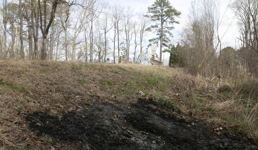 In this February 12, 2019 photo, a burned patch of grass and weeds along Beaman Road show where a body was dumped and burned sometime late Monday night, Feb. 11, a few miles west of New Bern, N.C. The Forsyth County Sheriff's Office tells news outlets it's charged 23-year-old Norris Dwayne Rochelle Jr. with murder in the death of his 40-year-old roommate, Nicholas Williams. (Bill Hand/Sun Journal via AP)