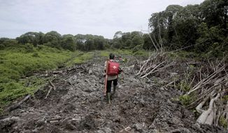 FILE - In this Aug. 10, 2017 file photo, Pandu Wibisono, a conservationist of Sumatran Orangutan Conservation Program (SOCP) carries a medical pack as he walks on a cleared forest during a rescue operation for orangutans reportedly trapped in its disrupted habitat near a palm oil plantation at Tripa peat swamp in Aceh province, Indonesia. Environmentalists say Indonesian plantation companies fined for burning huge areas of land in the area since 2009 have failed to pay hundreds of millions of dollars in penalties meant to hold them accountable for actions that took a devastating environmental and human toll. (AP Photo/Binsar Bakkara, File)